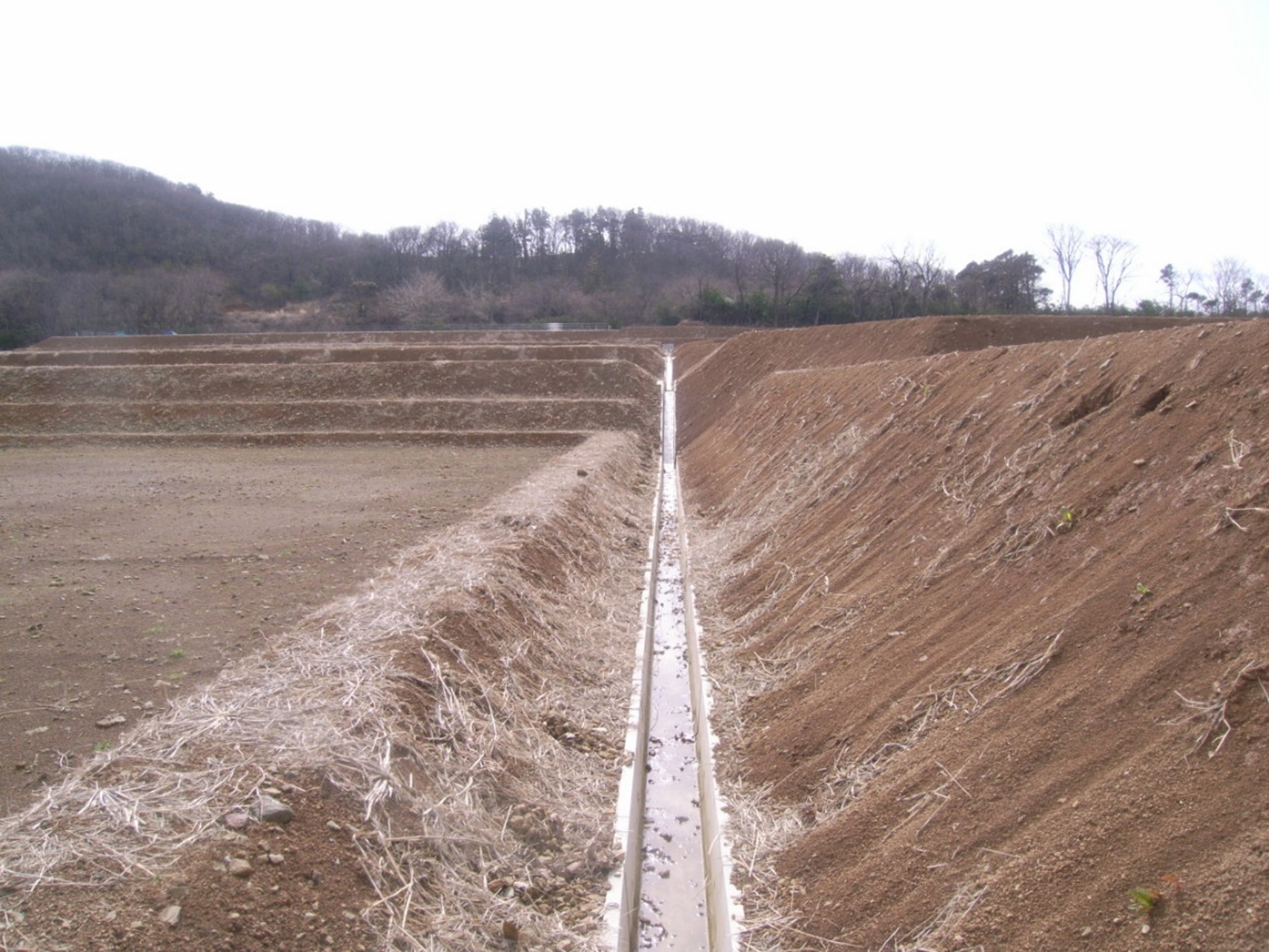 大小地区 区画整理第2次工事　県営中山間地域総合整備事業離島の画像